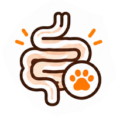 gut